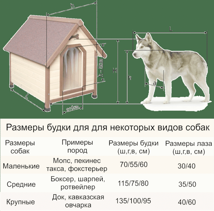 Как делать вольер для собаки своими руками Как делать вольер для собаки своими руками