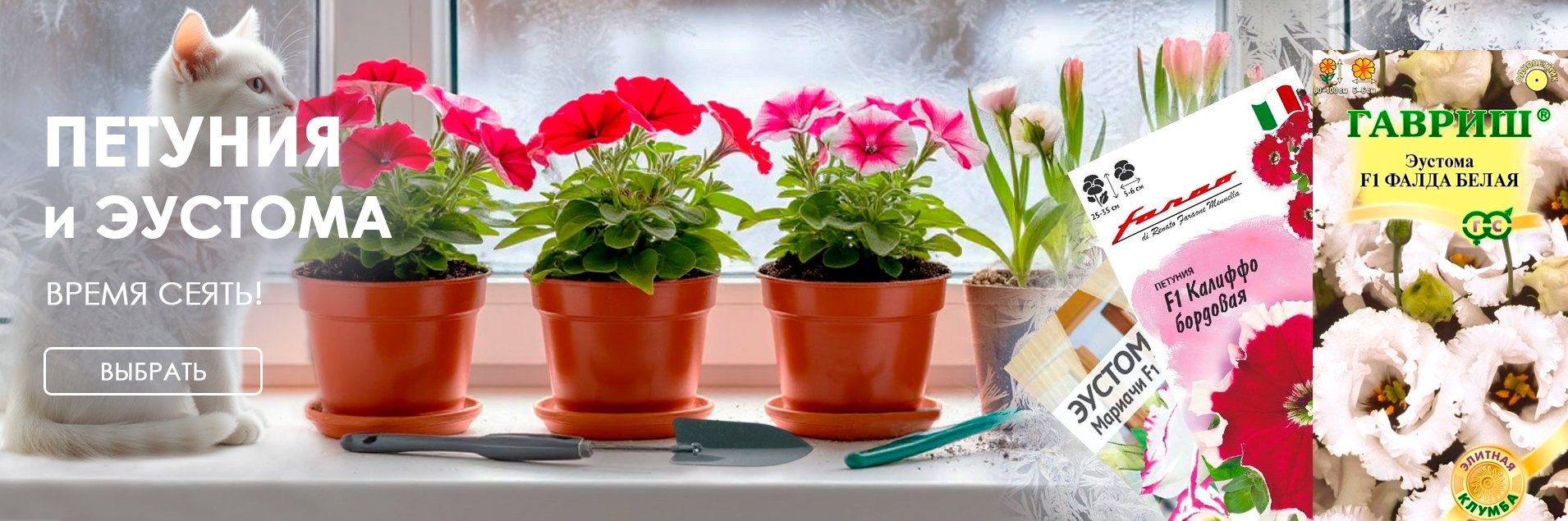 Семена петунии и эустомы