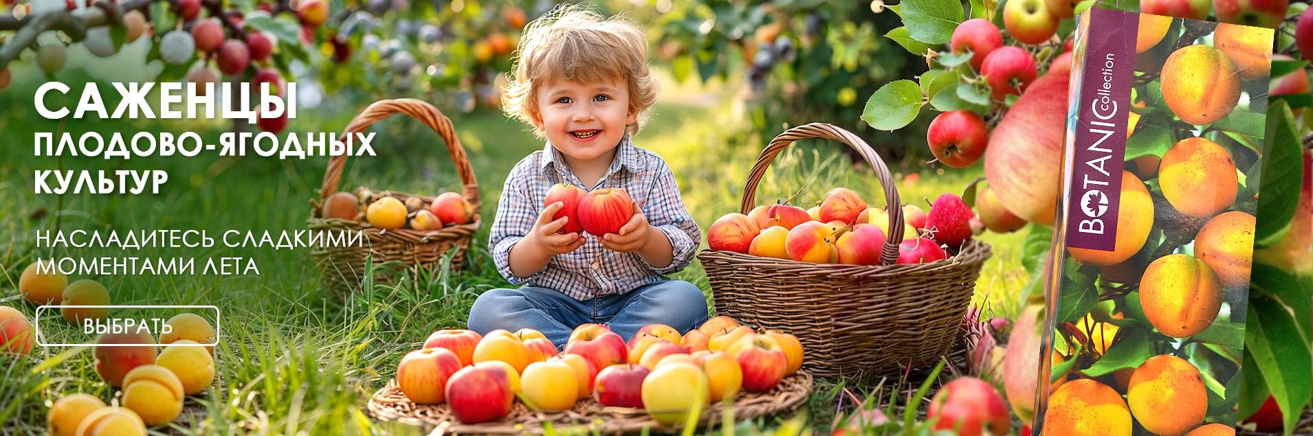 Саженцы ягодных кустарников