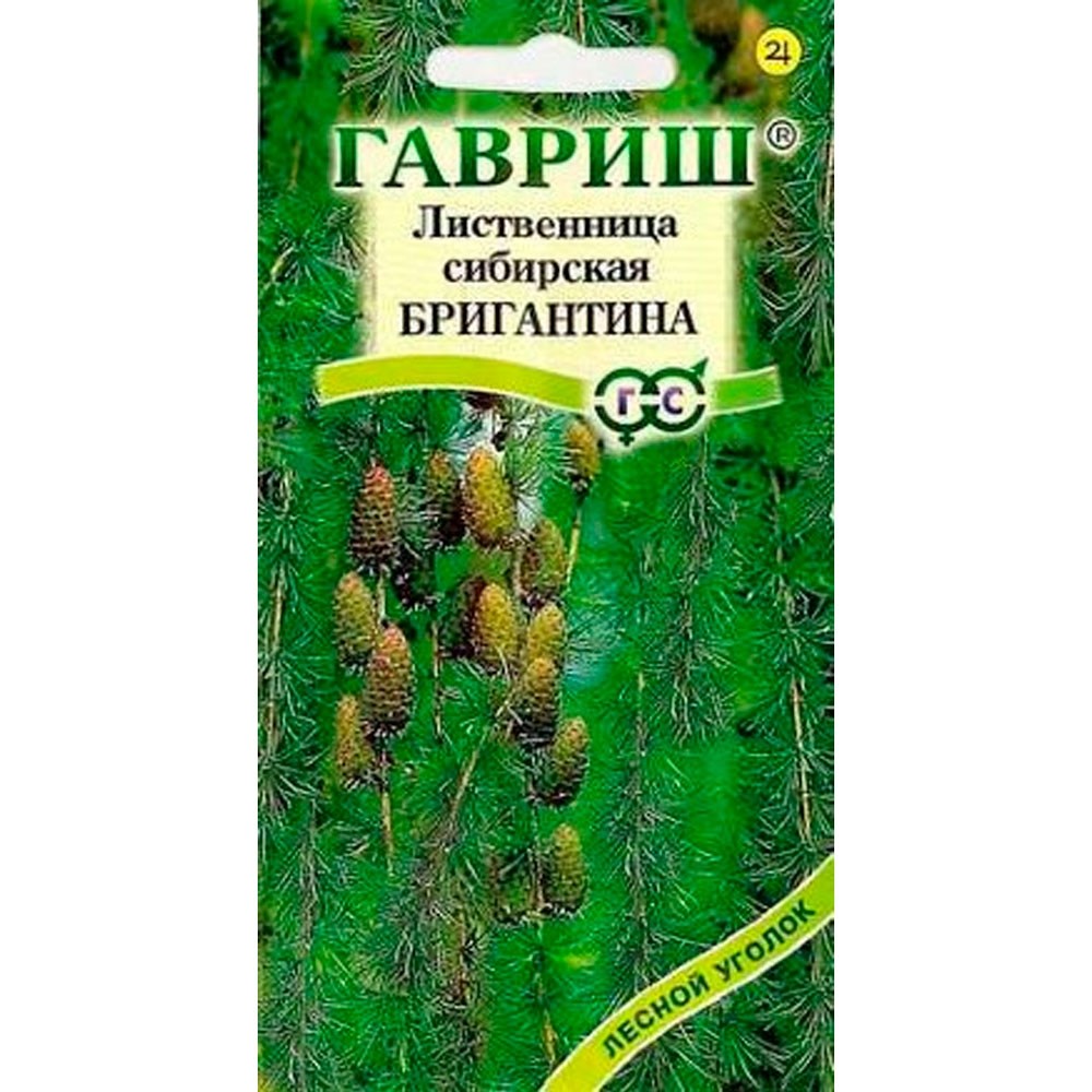 Купить Лиственница сибирская Бригантина 0,2г 00040028172 за 50руб.  |Garden-zoo.ru