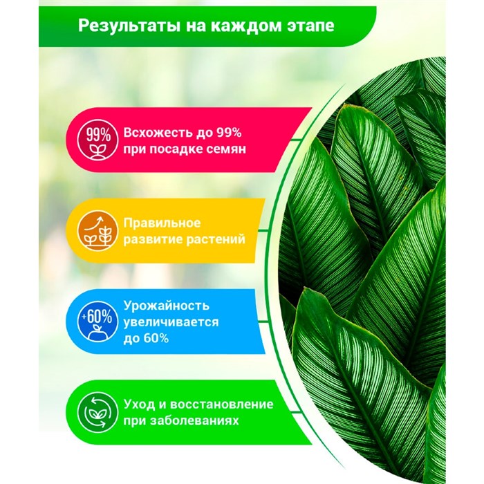 Суспензия Хлореллы 0,25л природный биостимулятор - фото 101849