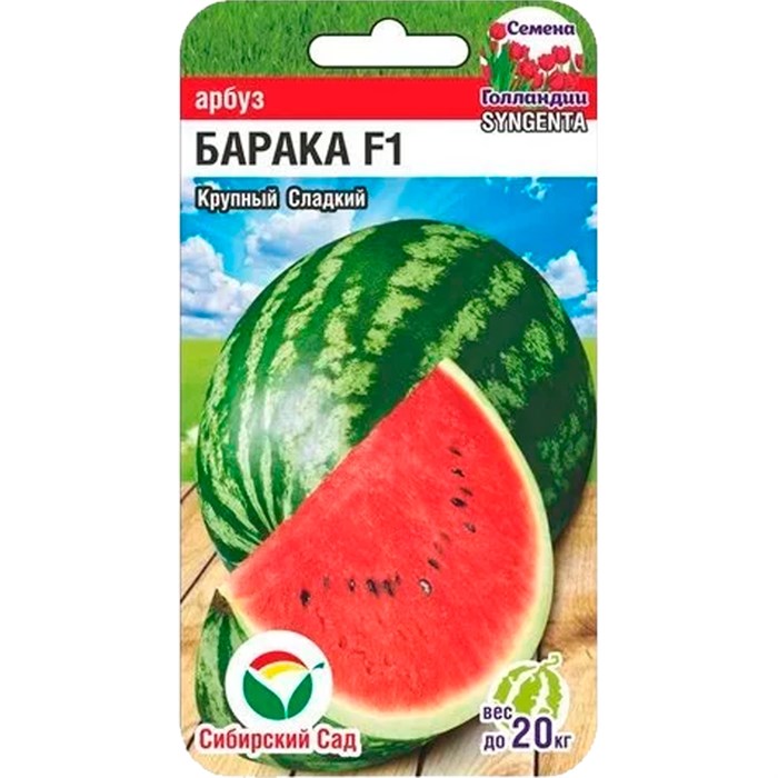 Арбуз Барака 3шт - фото 105110