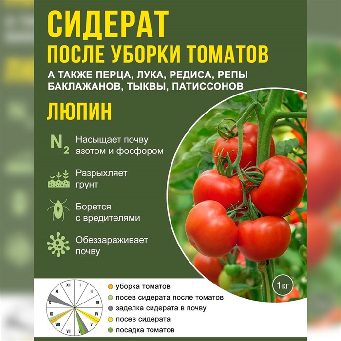 Купить Сидерат  однолетний после уборки томатов и перца 1кг .