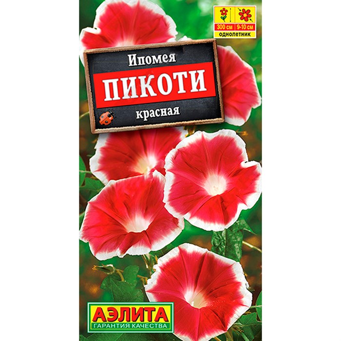 Ипомея Пикоти красная - фото 109842
