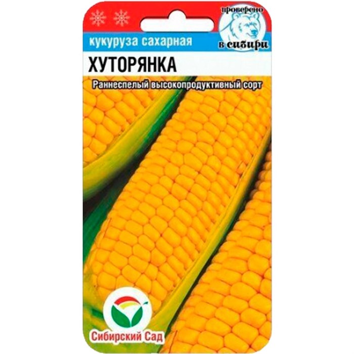 Кукуруза Хуторянка 6шт - фото 117181