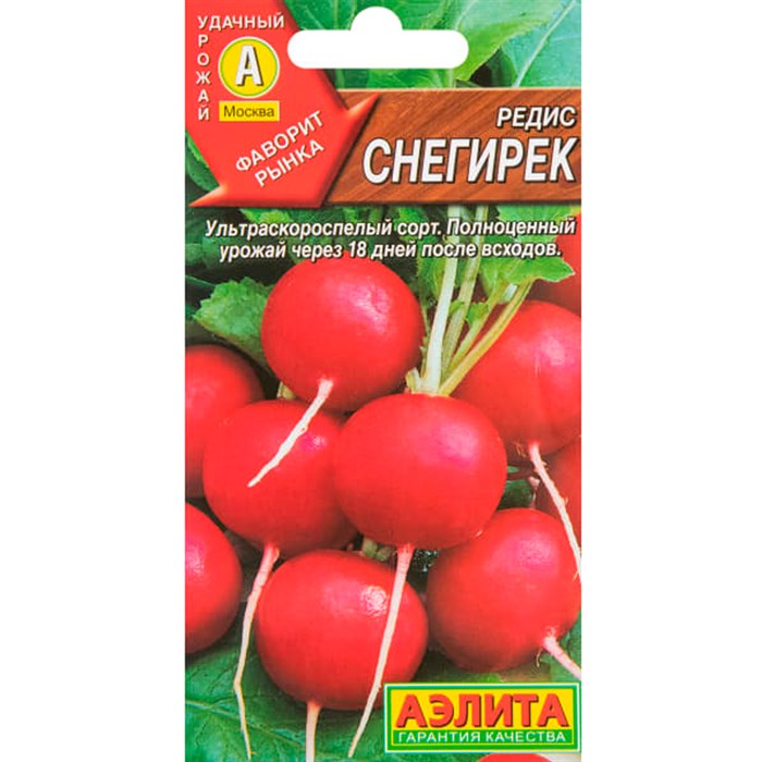 Редис Снегирёк - фото 117773