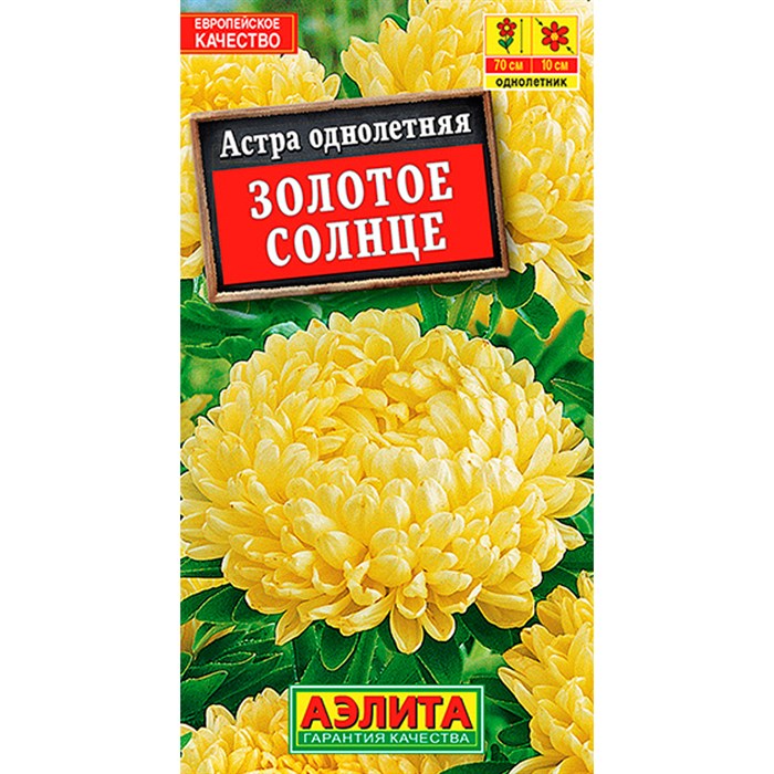 Астра Золотое солнце - фото 118586