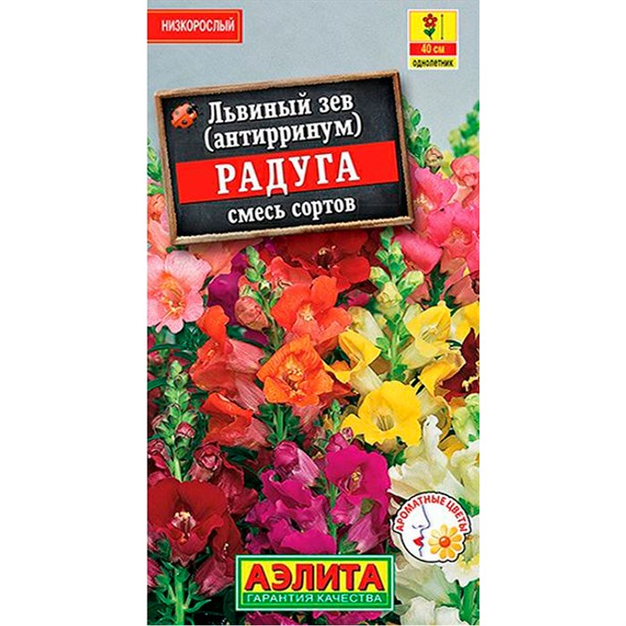 Львиный зев Радуга - фото 118635