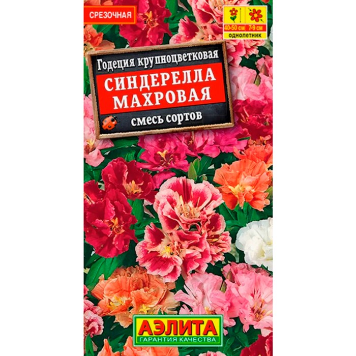 Годеция Синдерелла - фото 118811