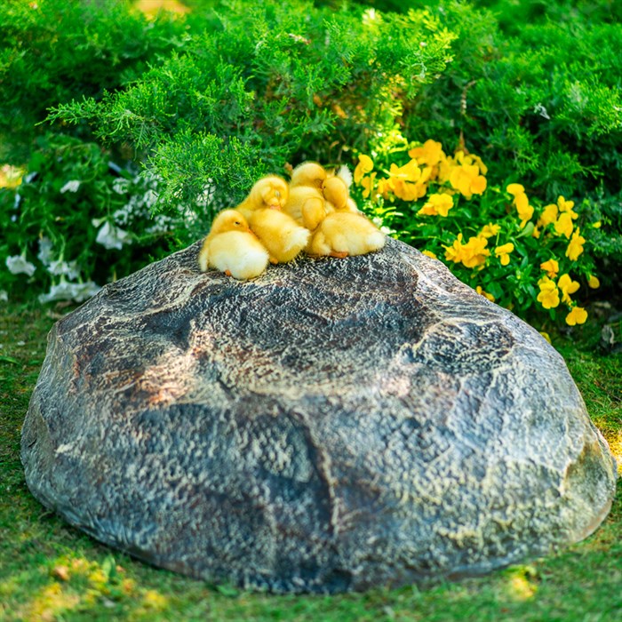 Крышка для канализационного люка Камень-валун низкий F03095 - фото 125781
