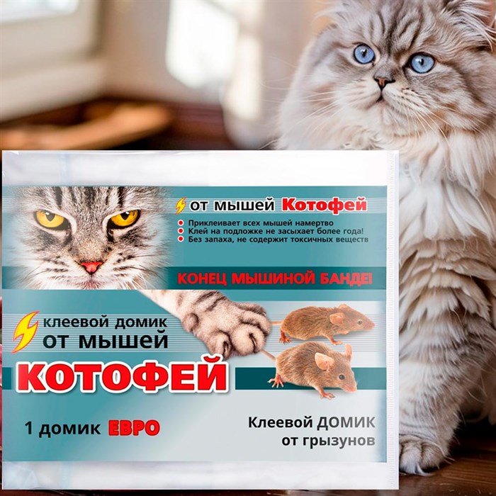 Котофей клеевой домик ЕВРО - фото 126457
