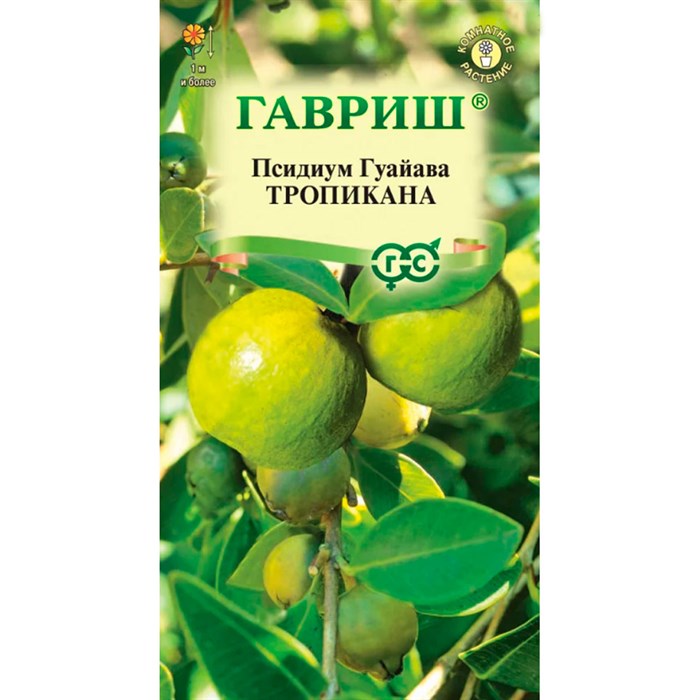 Псидиум Гуайава Тропикана 0,2г - фото 126759