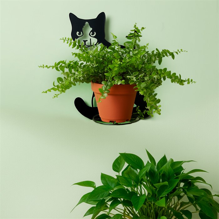 Подставка настенная на 1 растение Кошка со съёмным кольцом металл 150-202B - фото 126789