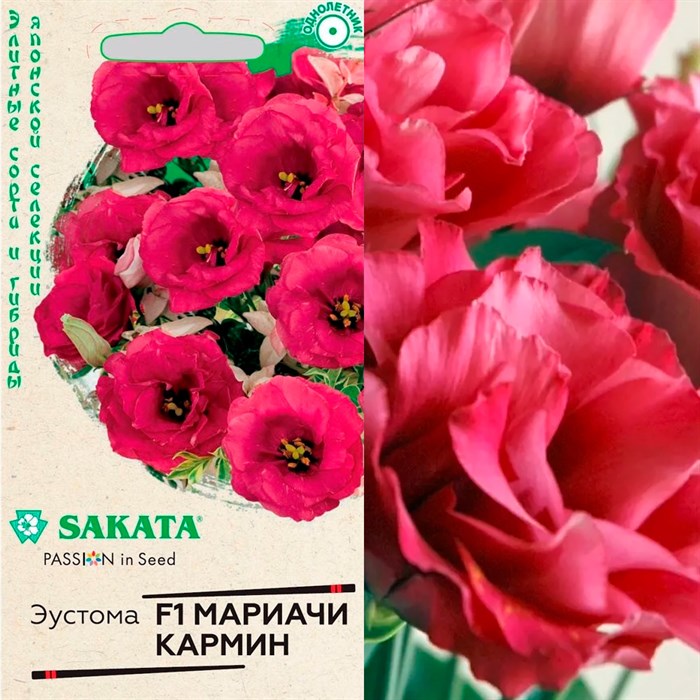 Эустома Мариачи кармин 4шт - фото 126982