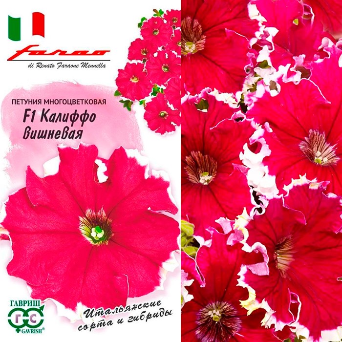 Петуния Калиффо вишнёвая 7шт - фото 127019