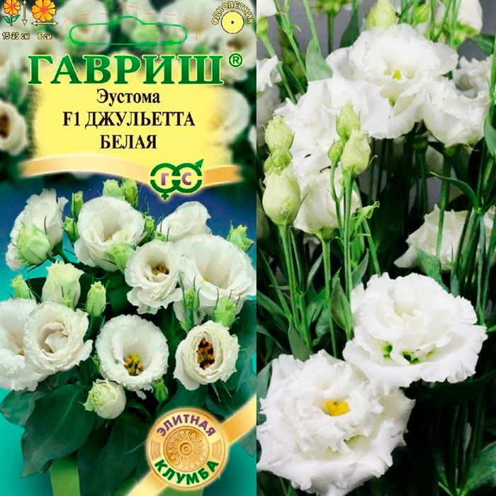 Эустома Джульетта белая 4шт - фото 127020