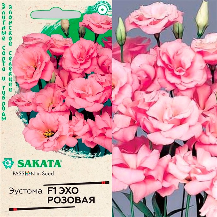 Эустома Эхо розовая 4шт - фото 127044