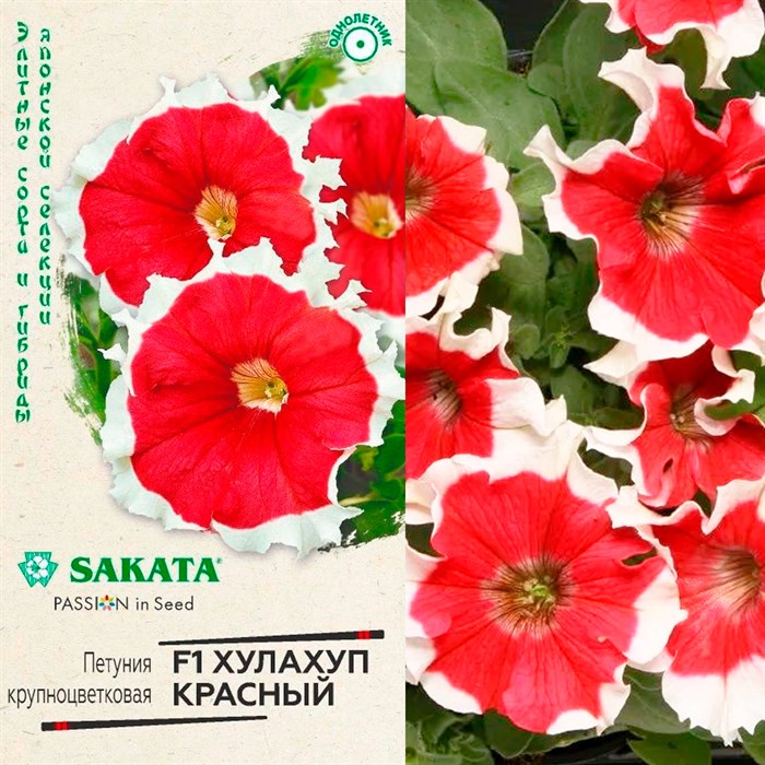 Петуния Хулахуп красный 5шт - фото 127045