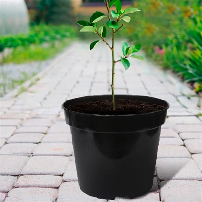 Горшок для рассады 29х22 10л - фото 127099