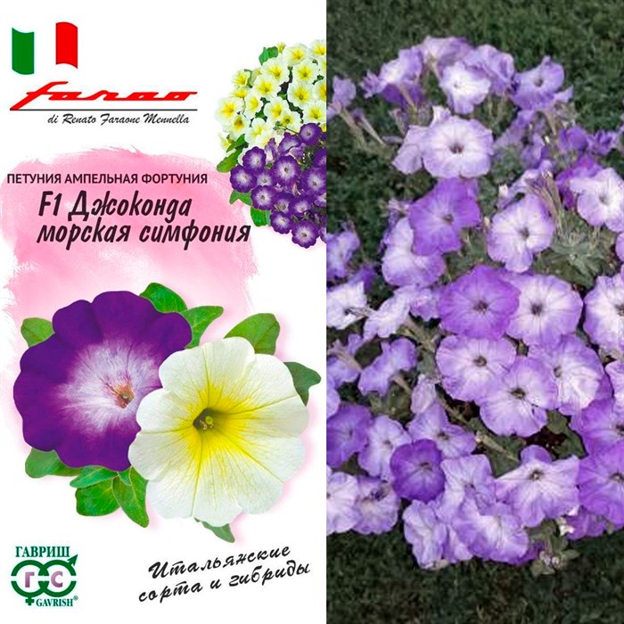 Петуния Джоконда морская симфония F1 7шт - фото 127123