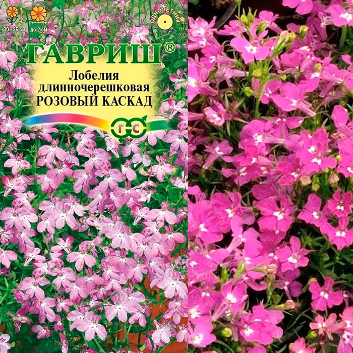 Лобелия ампельная Розовый каскад 0,01г - фото 127144