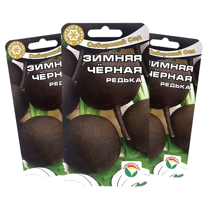 Редька Зимняя черная