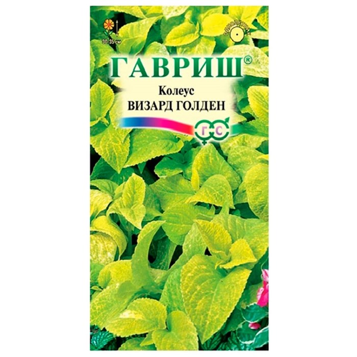 Колеус Визард Голден 4шт - фото 65293