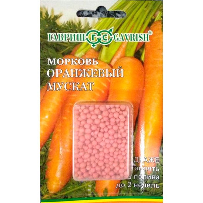 Морковь Оранжевый мускат 300шт - фото 83071