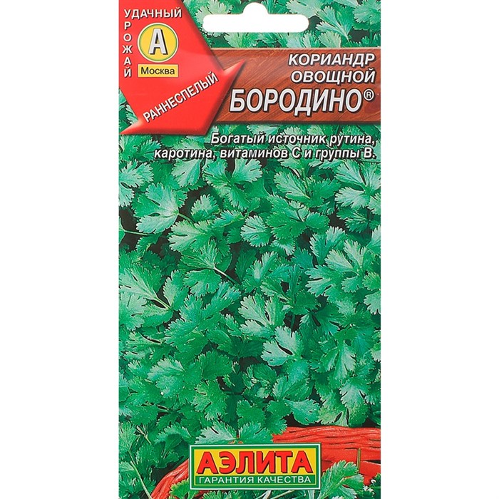 Кориандр Бородино - фото 85341