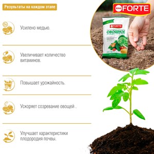 Удобрение БОНА ФОРТЕ для овощей 1кг - фото 102179