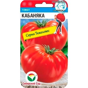 Томат Кабаняка 20шт