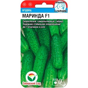 Огурец Маринда 7 шт - фото 114194