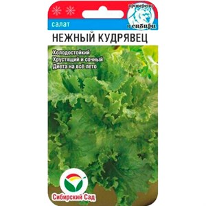 Салат Нежный кудрявец 0,5гр