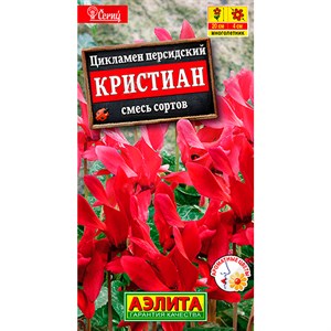 Цикламен Кристиан