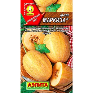 Дыня Маркиза