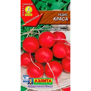 Редис Краса