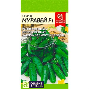 Огурец Муравей 5шт