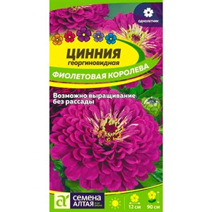 Цинния Фиолетовая королева 0,3гр