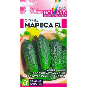 Огурец Мареса F1 5шт - фото 118080