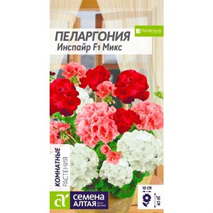 Пеларгония Инспайр 4шт