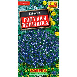 Лобелия Голубая вспышка