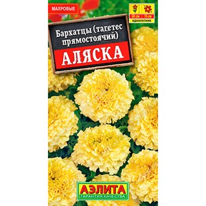 Бархатцы прямостоячие Аляска