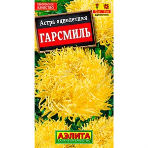 Астра Гарсмиль