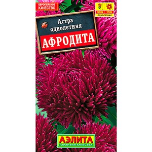 Астра Афродита