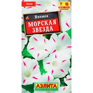 Ипомея Морская звезда - фото 118653