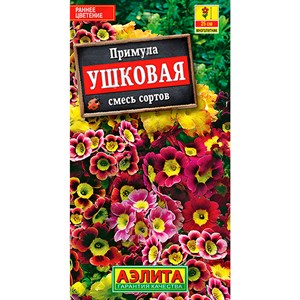 Примула ушковая - фото 118748