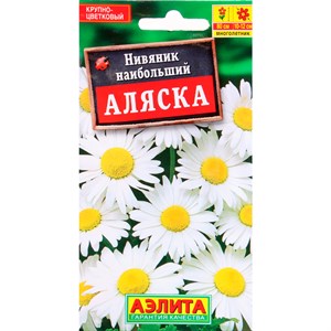 Нивяник Аляска