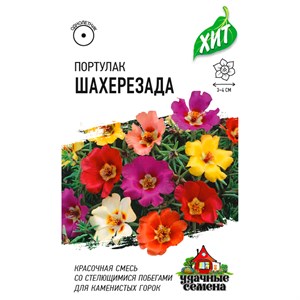 Портулак Шахерезада смесь 0,01гр ХИТ