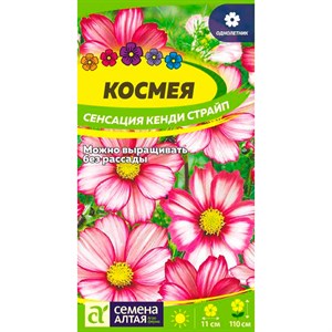 Космея Сенсация Кенди Страйп 0,5гр