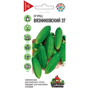 Огурец Вязниковский 37 0,5г УС